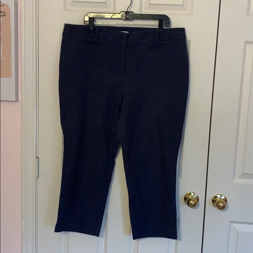 ANN TAYLOR LOFT Julie crop
